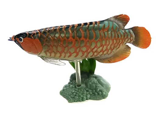 Trading Figure - Freshwater Fishes