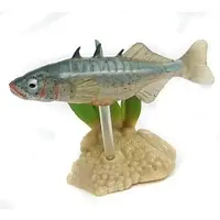 Trading Figure - Freshwater Fishes