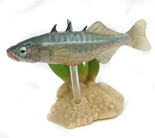 Trading Figure - Freshwater Fishes