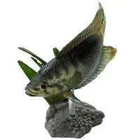 Trading Figure - Freshwater Fishes