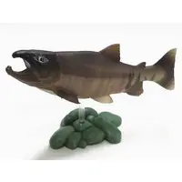 Trading Figure - Freshwater Fishes