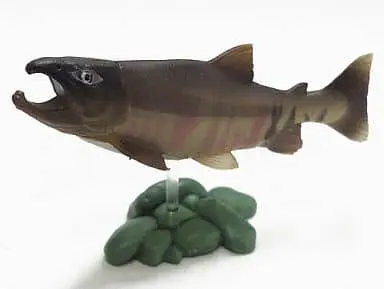 Trading Figure - Freshwater Fishes