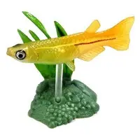 Trading Figure - Freshwater Fishes