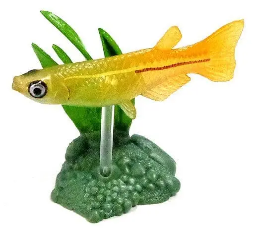 Trading Figure - Freshwater Fishes