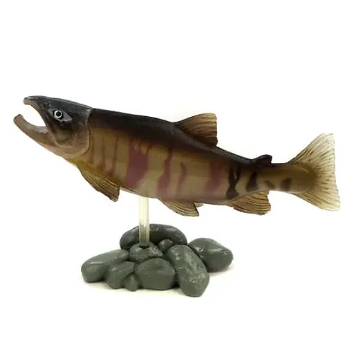 Trading Figure - Freshwater Fishes