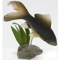 Trading Figure - Freshwater Fishes