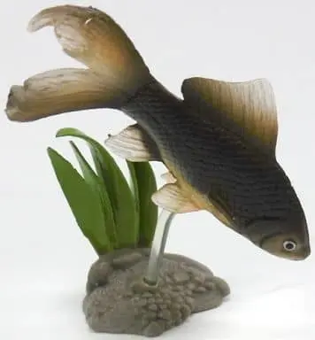 Trading Figure - Freshwater Fishes