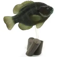 Trading Figure - Freshwater Fishes