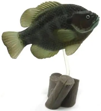 Trading Figure - Freshwater Fishes