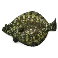 Trading Figure - Freshwater Fishes