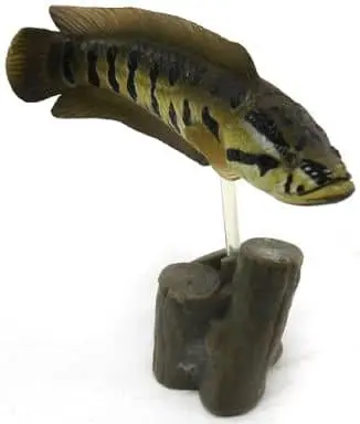 Trading Figure - Freshwater Fishes