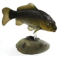 Trading Figure - Freshwater Fishes