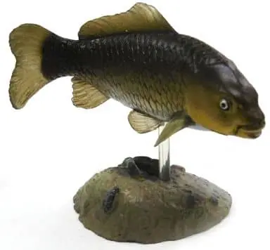 Trading Figure - Freshwater Fishes