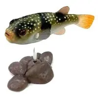 Trading Figure - Freshwater Fishes