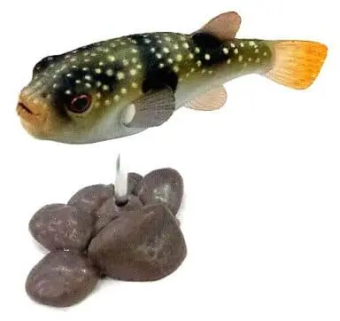 Trading Figure - Freshwater Fishes