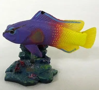 Trading Figure - Primary Color Saltwater Fish Encyclopedia