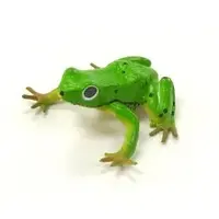 Trading Figure - Primary Color Amphibian Frog Encyclopedia