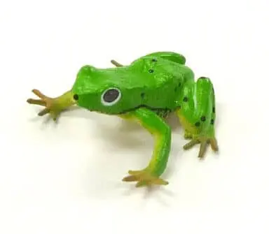 Trading Figure - Primary Color Amphibian Frog Encyclopedia