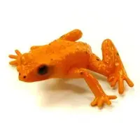 Trading Figure - Primary Color Amphibian Frog Encyclopedia