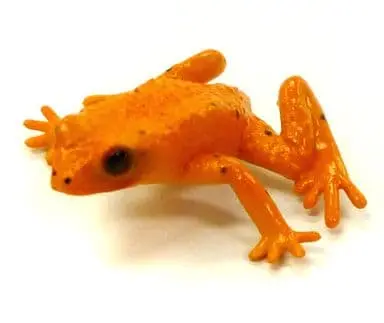 Trading Figure - Primary Color Amphibian Frog Encyclopedia