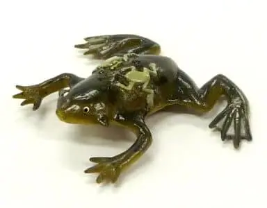 Trading Figure - Primary Color Amphibian Frog Encyclopedia