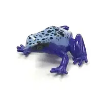 Trading Figure - Primary Color Amphibian Frog Encyclopedia