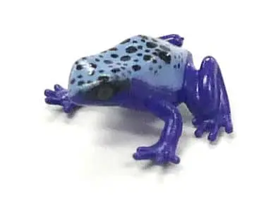 Trading Figure - Primary Color Amphibian Frog Encyclopedia