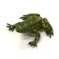 Trading Figure - Primary Color Amphibian Frog Encyclopedia