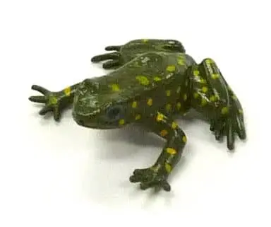 Trading Figure - Primary Color Amphibian Frog Encyclopedia