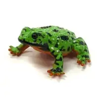 Trading Figure - Primary Color Amphibian Frog Encyclopedia