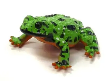 Trading Figure - Primary Color Amphibian Frog Encyclopedia