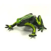 Trading Figure - Primary Color Amphibian Frog Encyclopedia