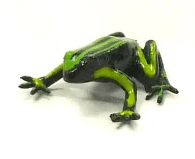 Trading Figure - Primary Color Amphibian Frog Encyclopedia