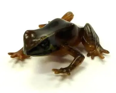 Trading Figure - Primary Color Amphibian Frog Encyclopedia