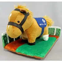 Plush - Thoroughbred collection