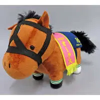 Plush - Thoroughbred collection