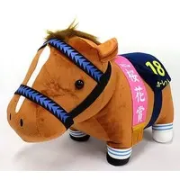 Plush - Thoroughbred collection