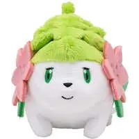 Plush - Pokémon / Shaymin