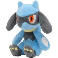 Pokemon fit - Pokémon / Riolu