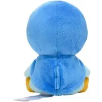 Plush - Pokémon / Piplup (Pochama)