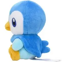 Plush - Pokémon / Piplup (Pochama)