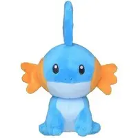 Pokemon fit - Pokémon / Mudkip