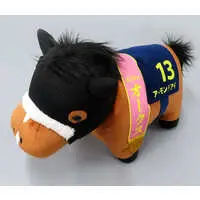 Plush - Thoroughbred collection