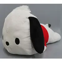 Plush - Sanrio / Pochacco