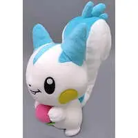 Plush - Pokémon / Pachirisu