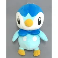 Plush - Pokémon / Piplup (Pochama)