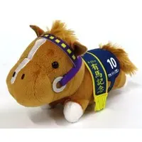 Plush - Thoroughbred collection