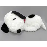 Plush - PEANUTS / Snoopy