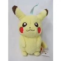 Plush - Pokémon / Pikachu