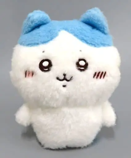 Plush - Chiikawa / Hachiware
